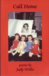 Call Home Poems by Judy Wells