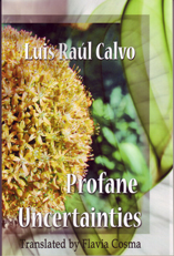 Profane Uncertainties by Luis Raul Calvo